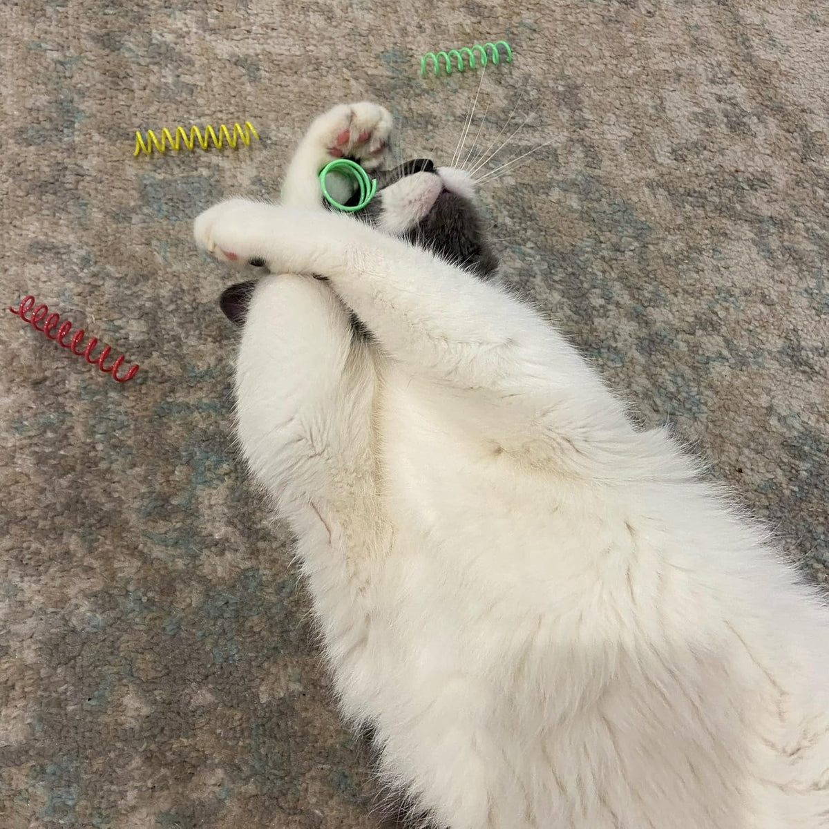 Spot interactive pet toy for indoor cats packaging