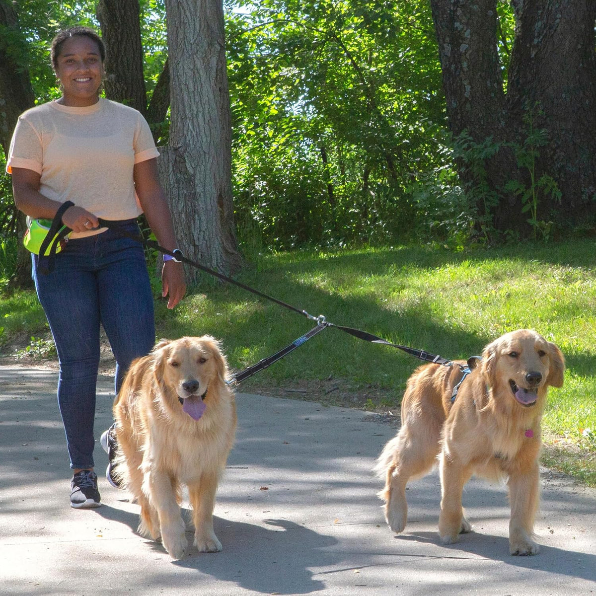 Caldwell's Pet Supply Co. double dog walker splitter with adjustable black nylon straps.