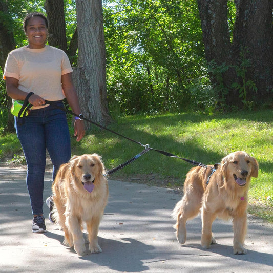 Caldwell's Pet Supply Co. double dog walker splitter with adjustable black nylon straps.