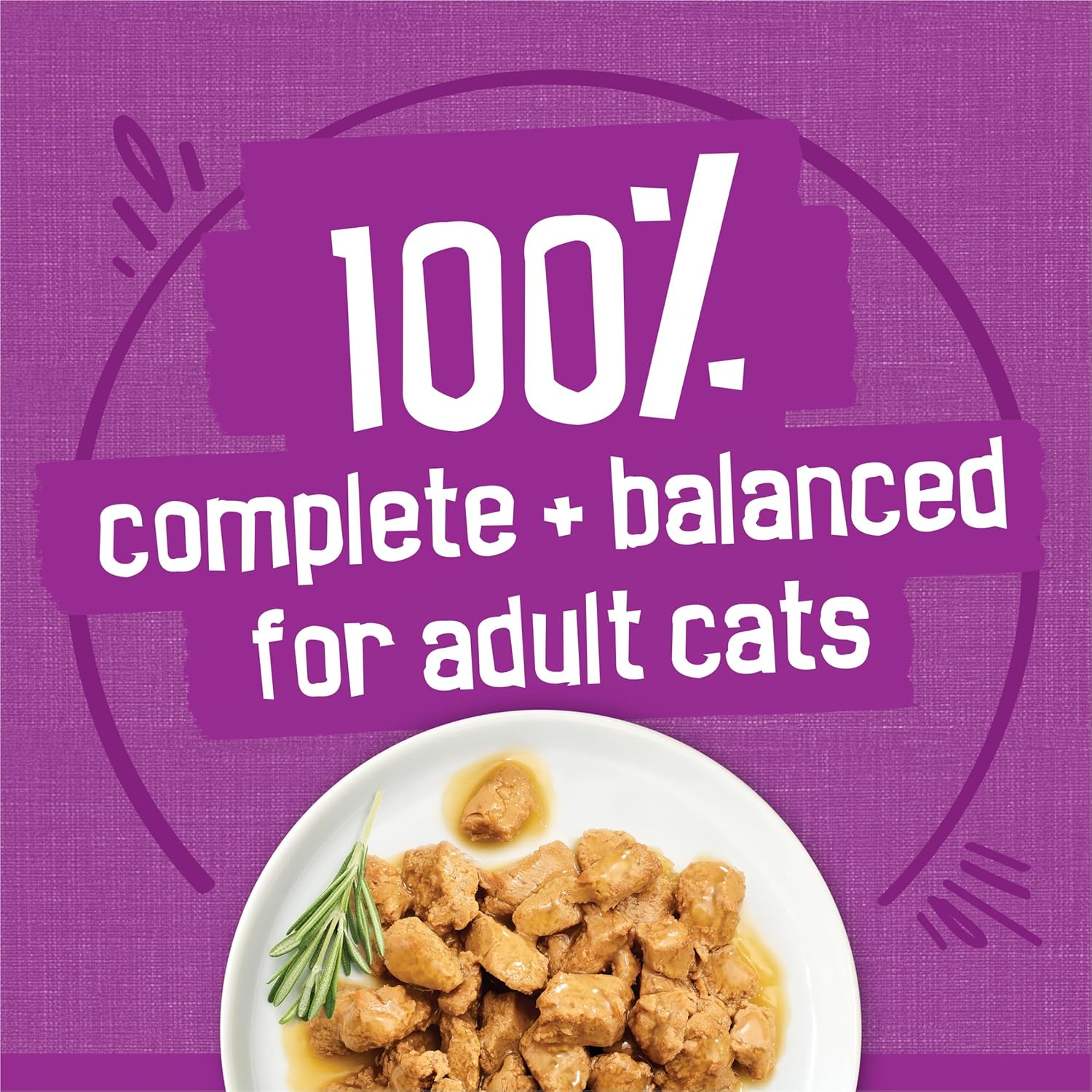 Authentic Purina Friskies Gravy Wet Cat Food Variety Pack