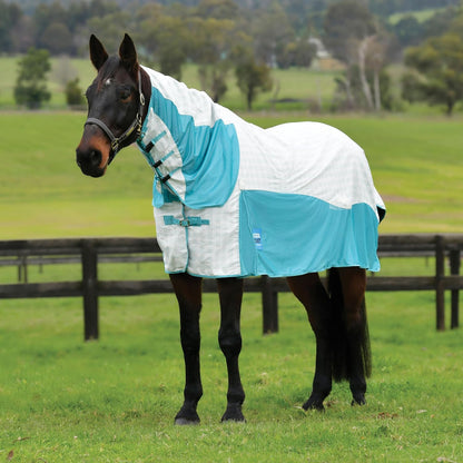 Kool Coat equestrian sheet close up of the traditional shoulder gussets and twin front buckles