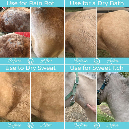 Talc free equine preventative grooming powder label