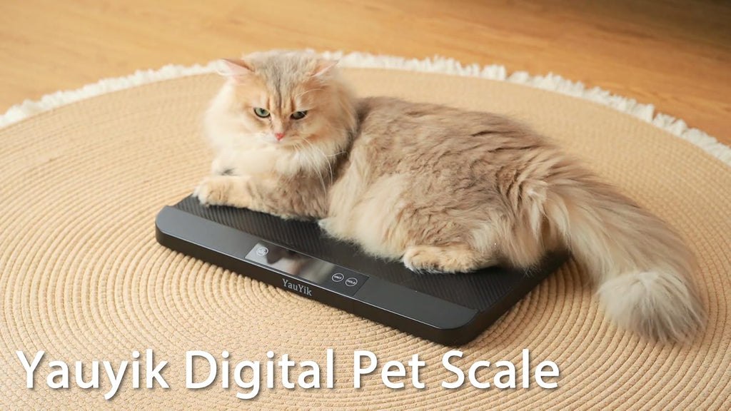 YauYik durable all in one pet scale profile view on a flat floor.