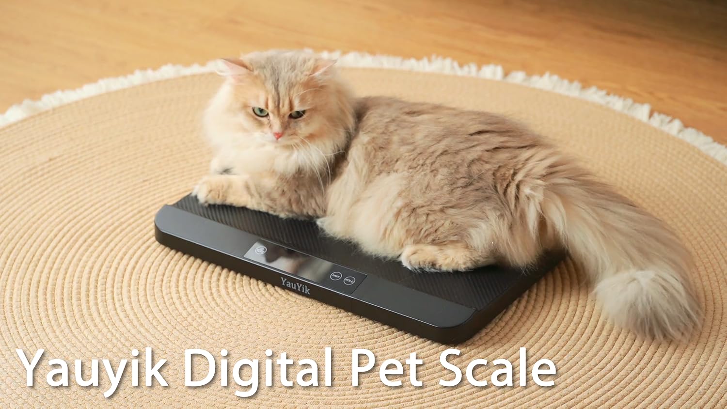YauYik durable all in one pet scale profile view on a flat floor.