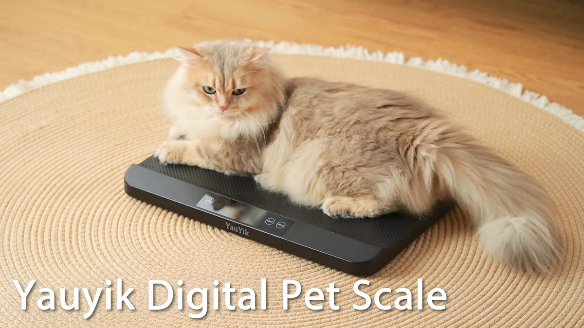 YauYik durable all in one pet scale profile view on a flat floor.
