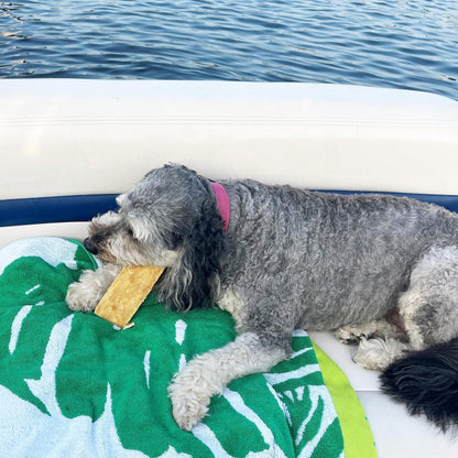 Fieldcrest Farms Nothin to Hide Flip Chips Dog Chews - Natural Rawhide Alternative Treats for Dogs, Collagen Based Snack for Moderate Chewers Up to 35lbs, Chicken Flavor - Image 11