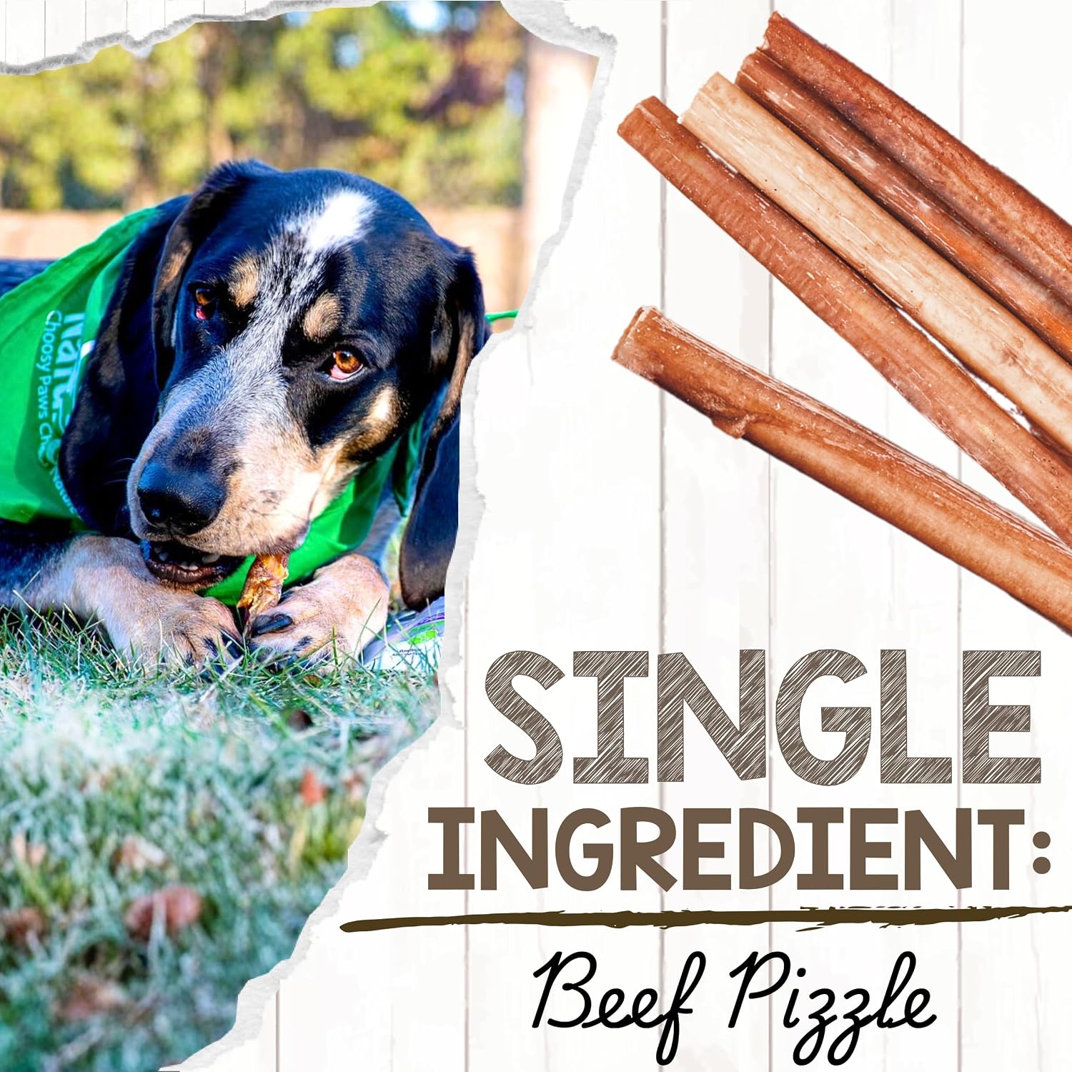 Nature Gnaws five to six inch bully sticks mixed thickness bag close up