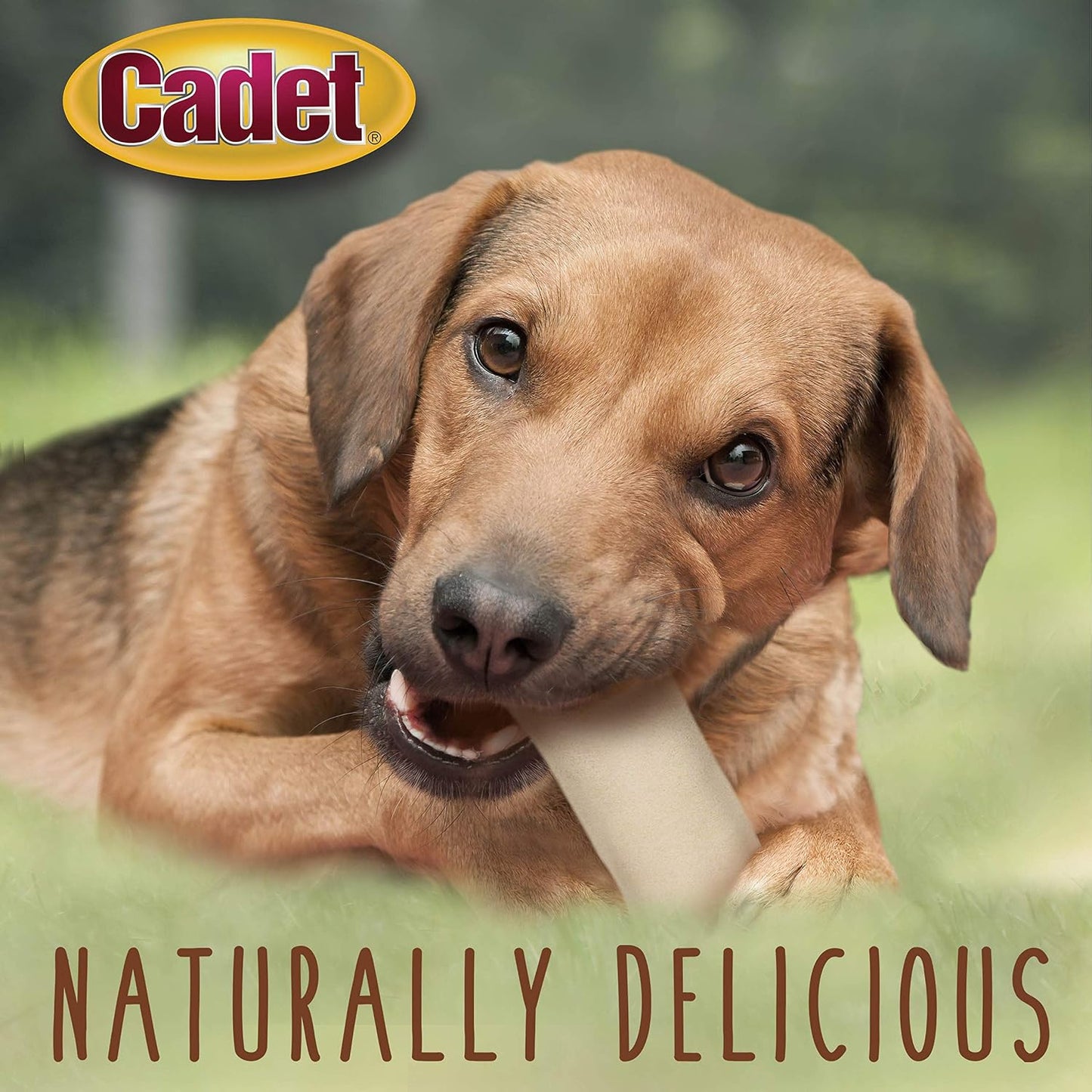 Cadet USA imported long lasting rawhide curls package details