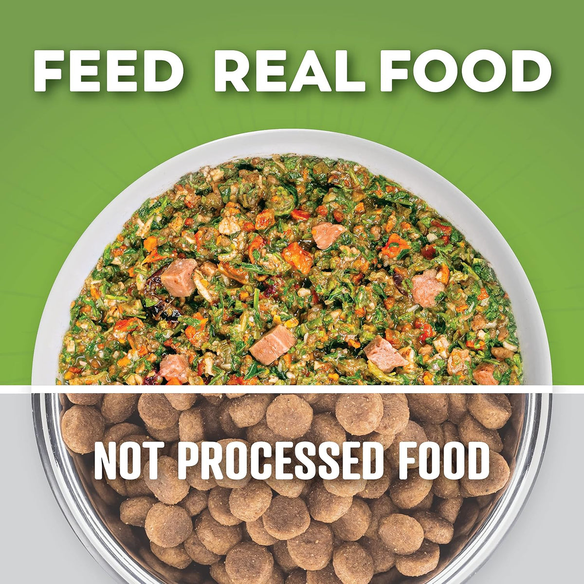 Prepared human grade healthy pet meal after adding warm water and resting for twelve minutes