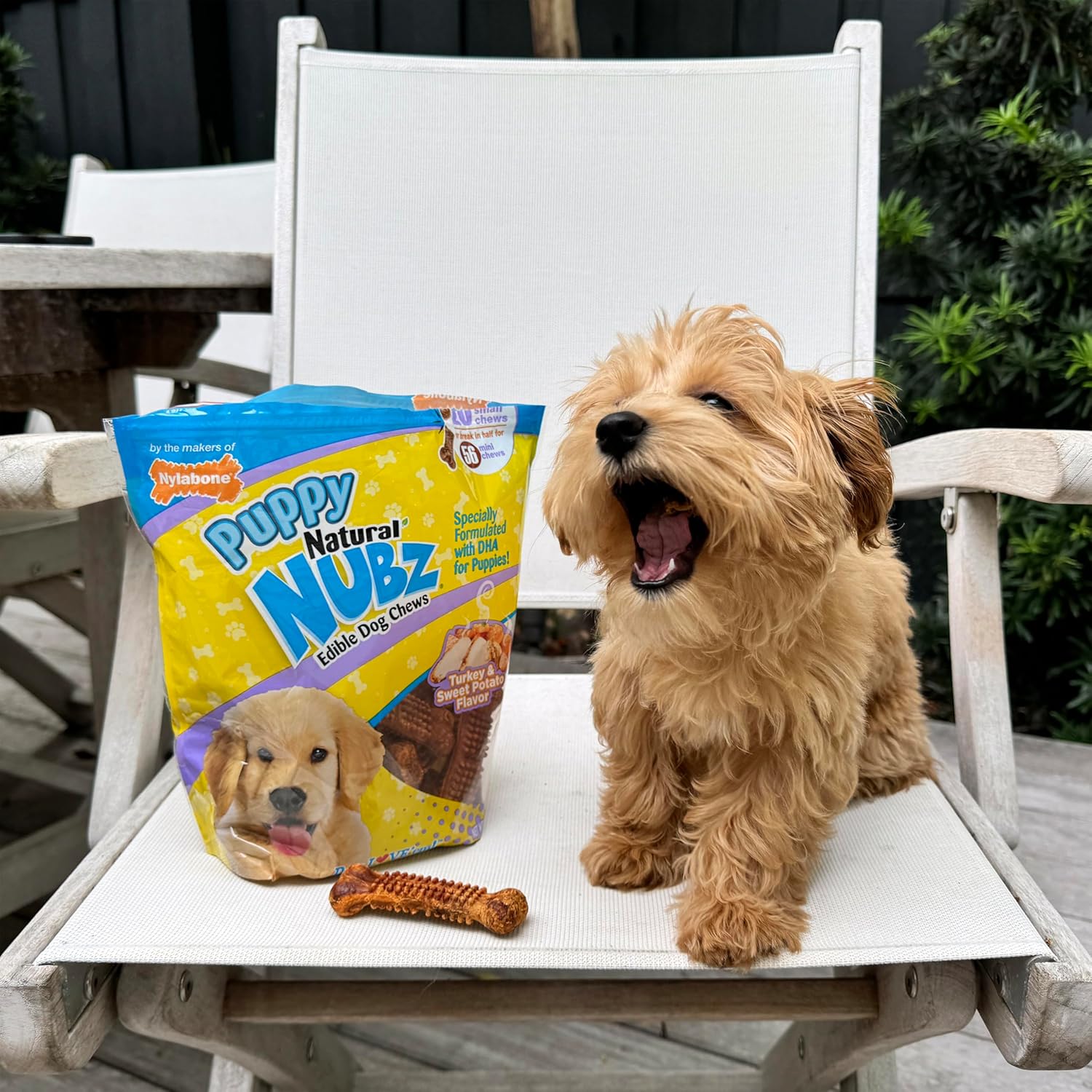 Nylabone Nubz puppy treats package back showing ingredients