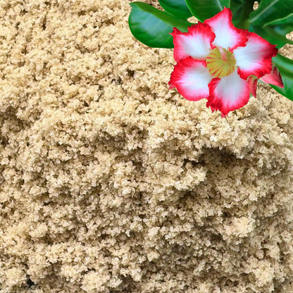 GARDENWISE Fine Sand for Plants front view showing premium horticultural sand bag packaging.