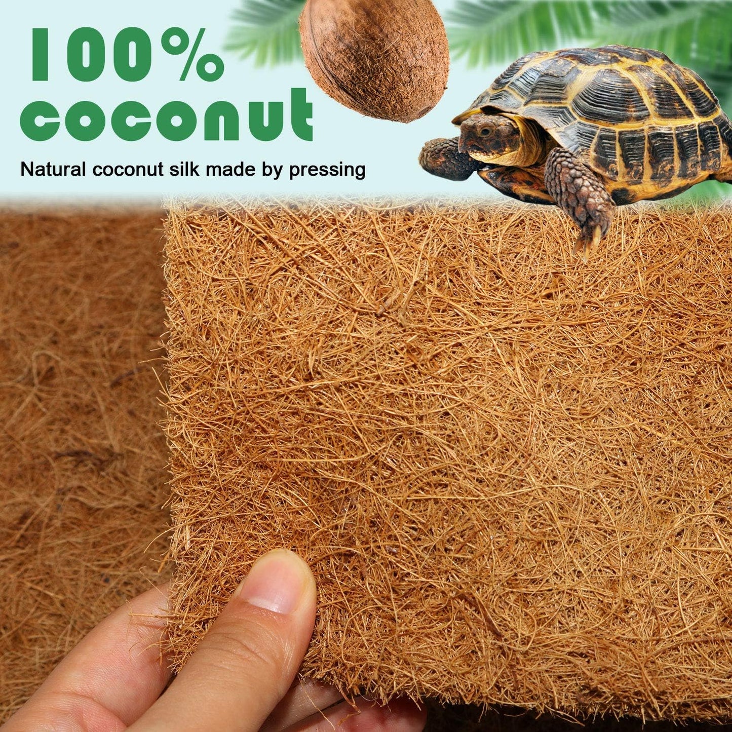 Bearded dragon resting comfortably on natural coconut fiber terrarium liner