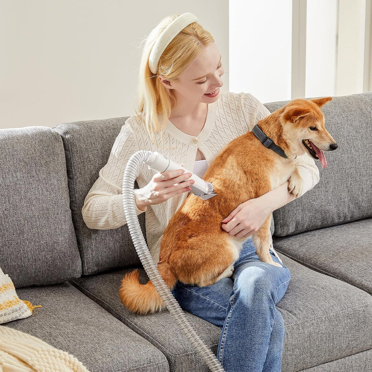 Sweetcrispy quiet pet hair vacuum cleaner removing loose fur from a living room sofa