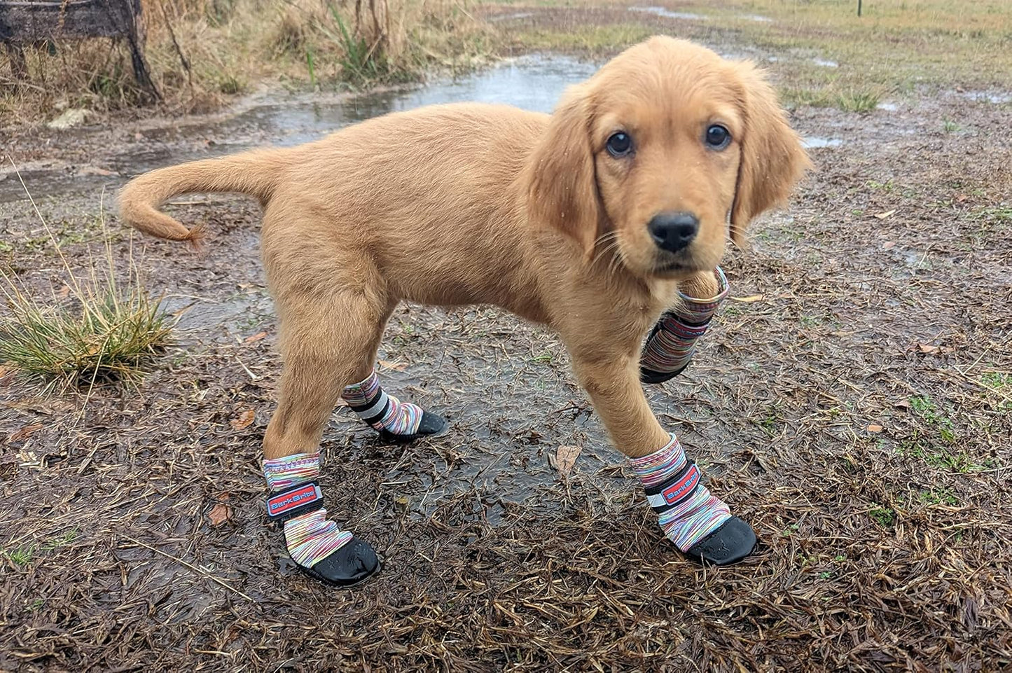 All Weather Neoprene Paw Protector Dog Boots with Reflective Straps in 5 Sizes! (XXL (4.5x4.5 in.)) - Image 15