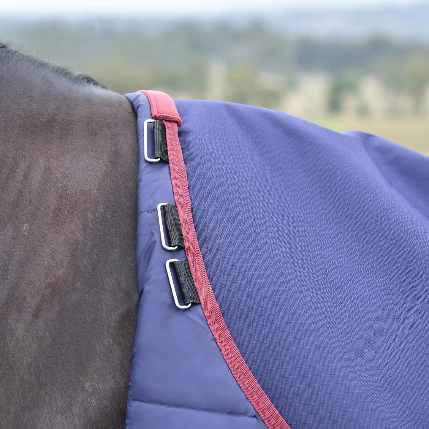 WeatherBeeta eighty four inch horse sheet back view with tail flap protection