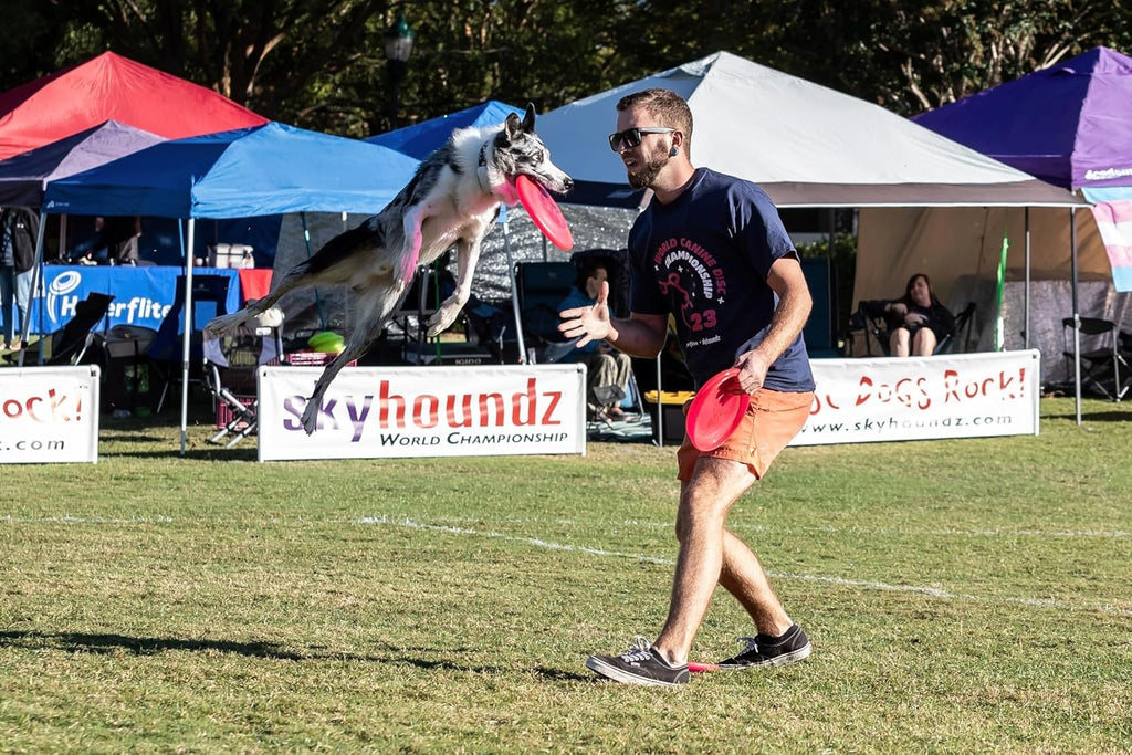 Hyperflite K-10 Jawz Puncture Resistant Dog Flying Disc, Medium-Large | Puncture Resistant, Competition Approved | 8.75-inch, 150g | Medium & Large Dogs | Pink - Image 9