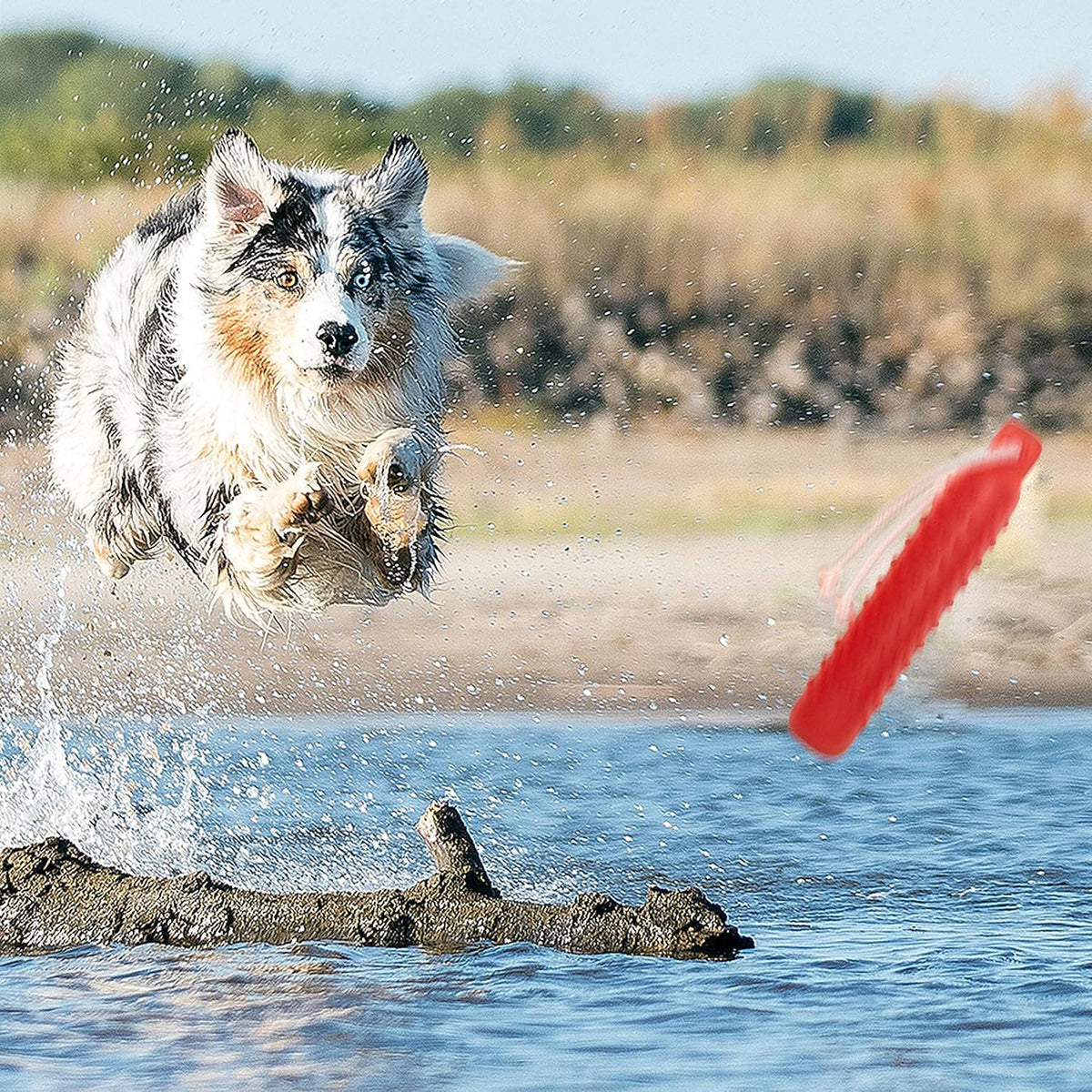 Segzwlor dog retrieval training dummy package showing authentic USA imported pet product.