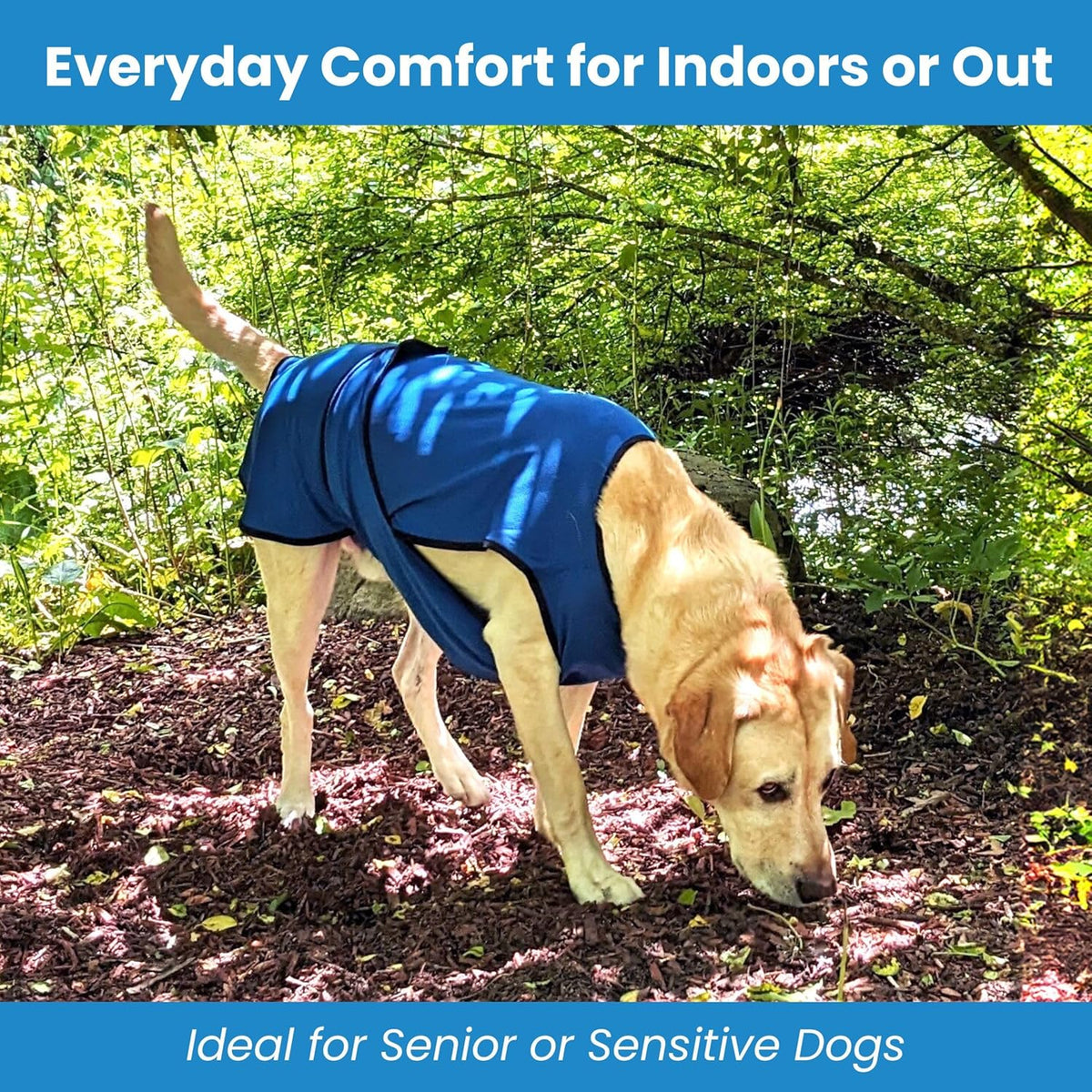 Adjustable straps on dogzstuff cooling vest