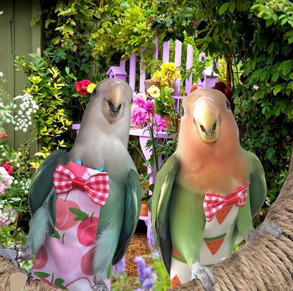 Breathable cotton pigeon pants for cockatiels and conures
