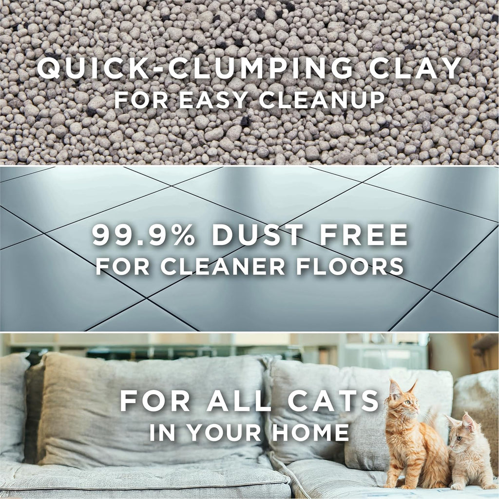 Authentic Purina Tidy Cats multi-cat litter 38 pound box