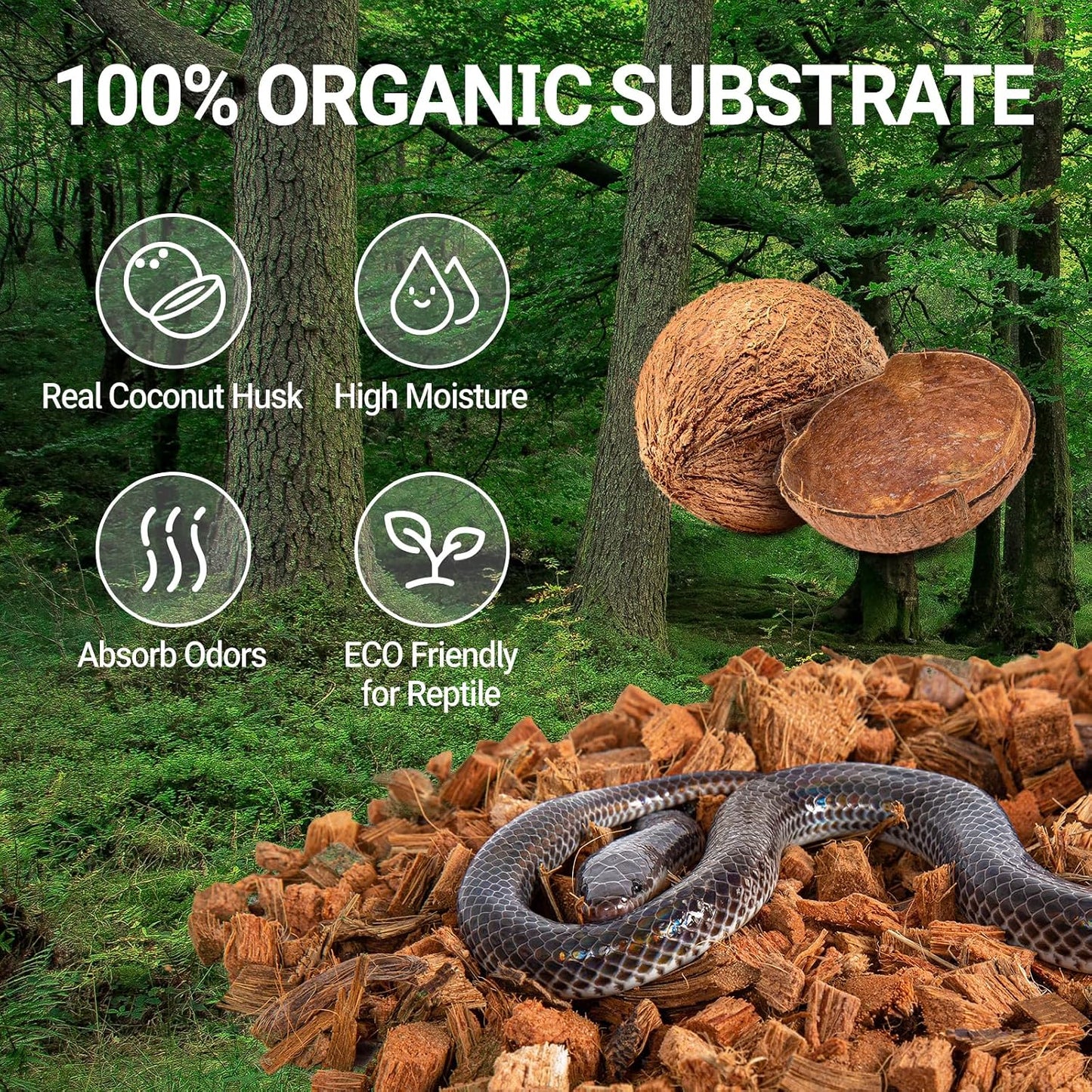 Repti Zoo coco husk reptile bedding expanded inside a tropical ball python terrarium tank