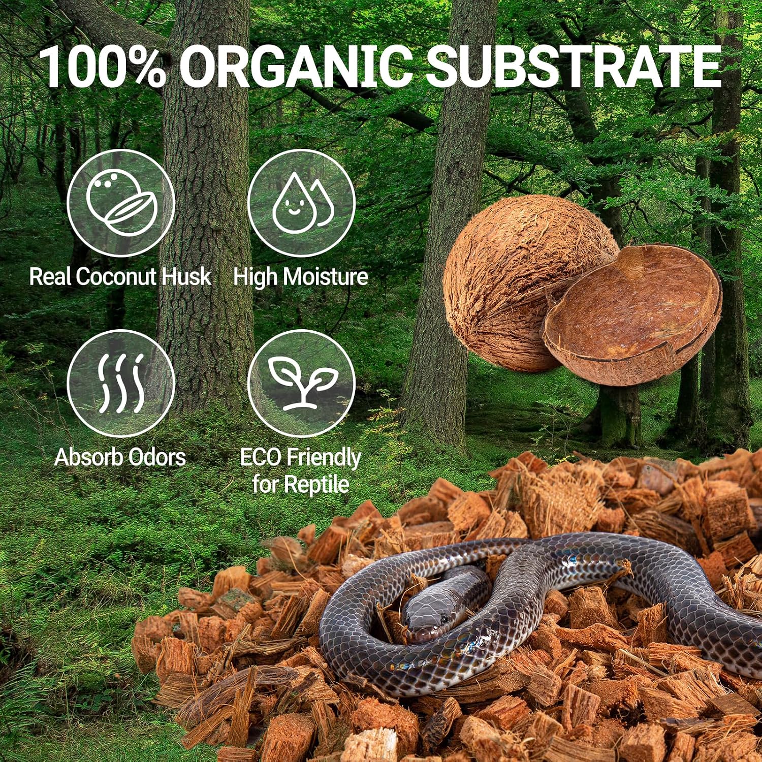 Repti Zoo coco husk reptile bedding expanded inside a tropical ball python terrarium tank