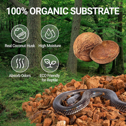 Repti Zoo coco husk reptile bedding expanded inside a tropical ball python terrarium tank