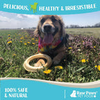 Safe compressed rawhide rings for dog dental care and tartar removal