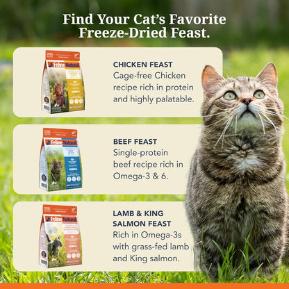 Premium imported pet nutrition layout featuring the 320 grams premium freeze dried cat food bag