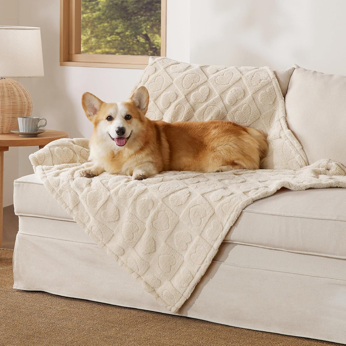 Bedsure Dog Blankets for Small Dogs Washable - Fluffy Fuzzy Cat Puppy Blanket with Premium 300GSM Coral Fleece Soft for Pet Kitten Doggy, White, 25x35IN - Image 15