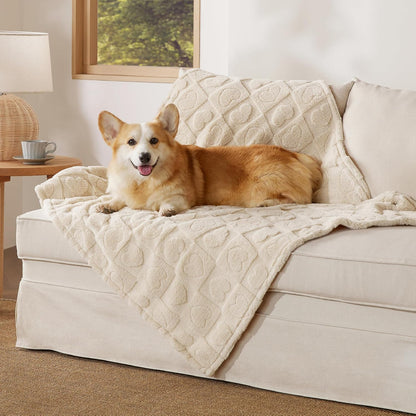 Bedsure Dog Blankets for Small Dogs Washable - Fluffy Fuzzy Cat Puppy Blanket with Premium 300GSM Coral Fleece Soft for Pet Kitten Doggy, White, 25x35IN - Image 15