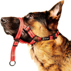 Adjustable Dog Head Halter with Safety Strap, Soft Padded Dog Head Collar for Small Medium Large Dogs, No-Pull Dog Harness for Training and Walking (Medium, Pink) - Image 9