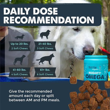 Premium dog vitamins for itchy skin relief and shiny fur