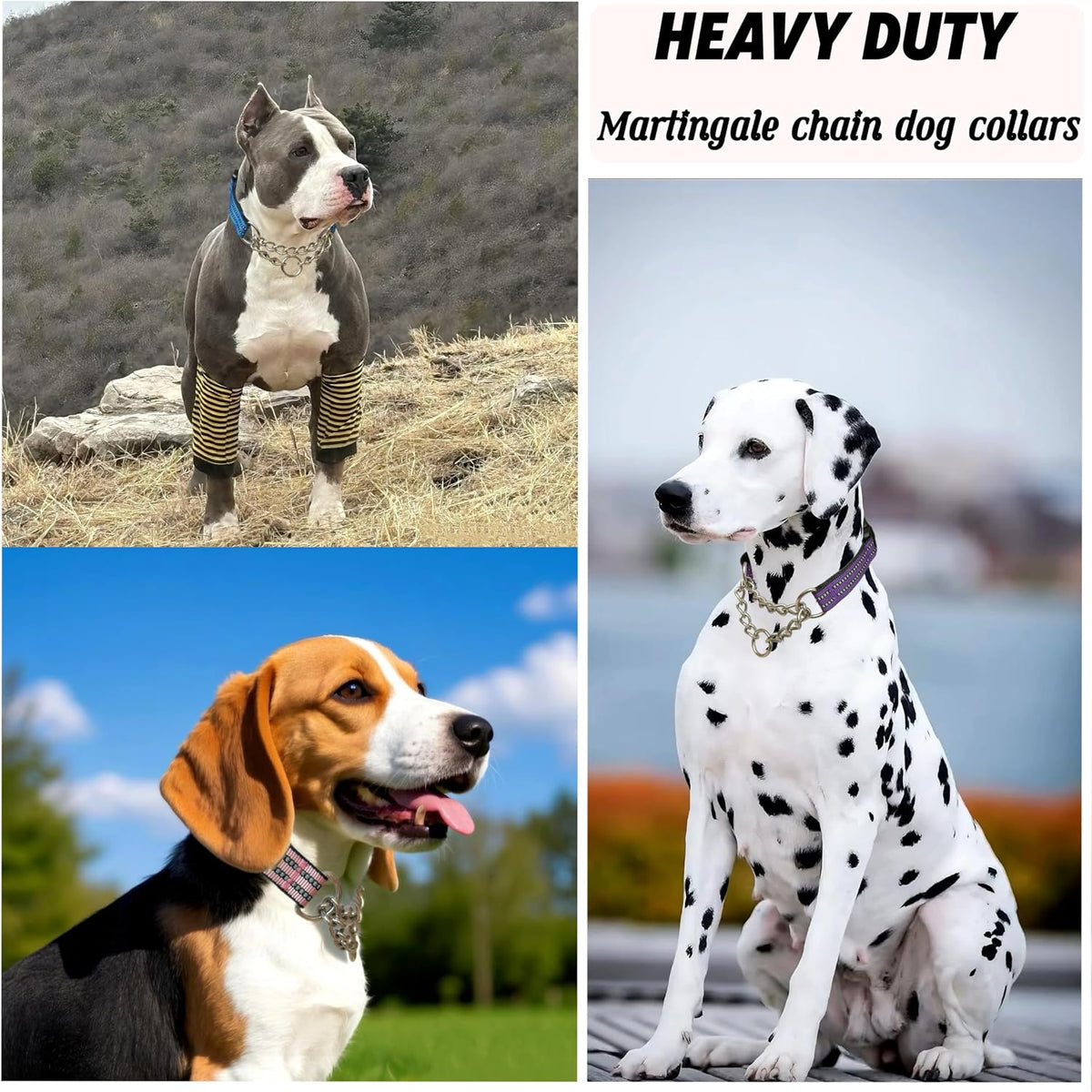 PUROAYET premium reflective night walking pet collar