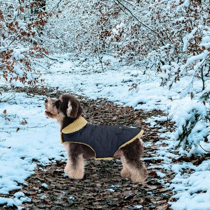 Queenmore pet winter apparel demonstrating adjustable fit