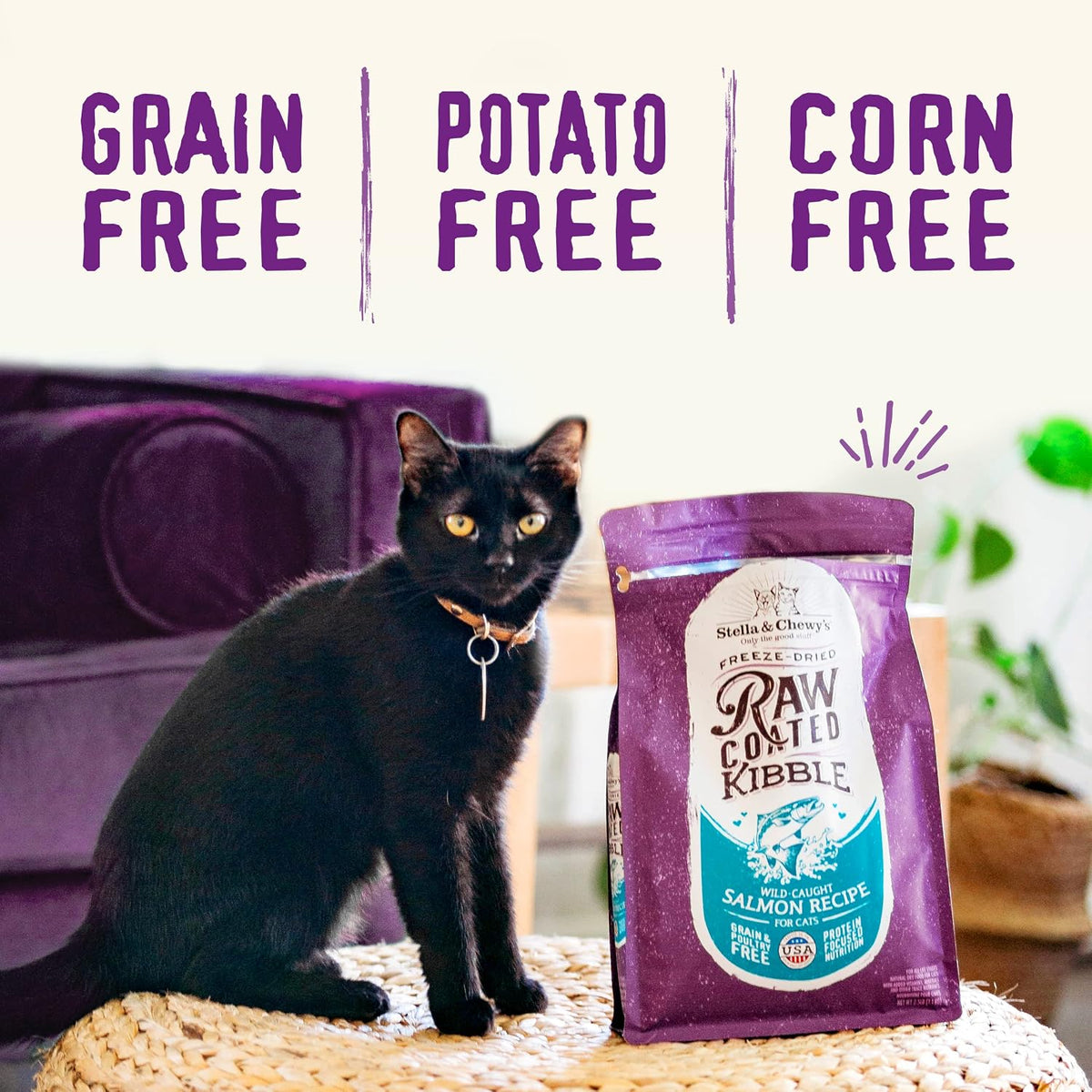 Stella & Chewy's Raw Coated Cat Food - High Protein, Grain-Free Kibble with Wild-Caught Salmon - Premium Digestive Support with Probiotics - Natural Small Kibble - Perfect for Picky Eater - 10 lb Bag - Image 6