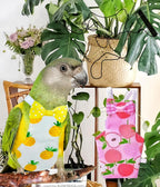Magnoloran parakeet diaper suit with bow tie detail