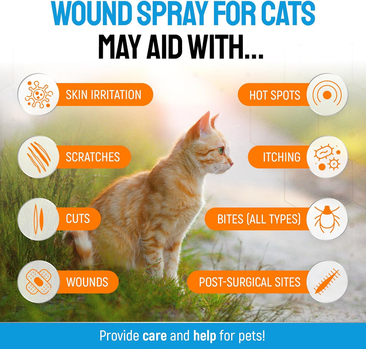 Silver Grade colloidal silver pet spray for cat hot spots and rashes