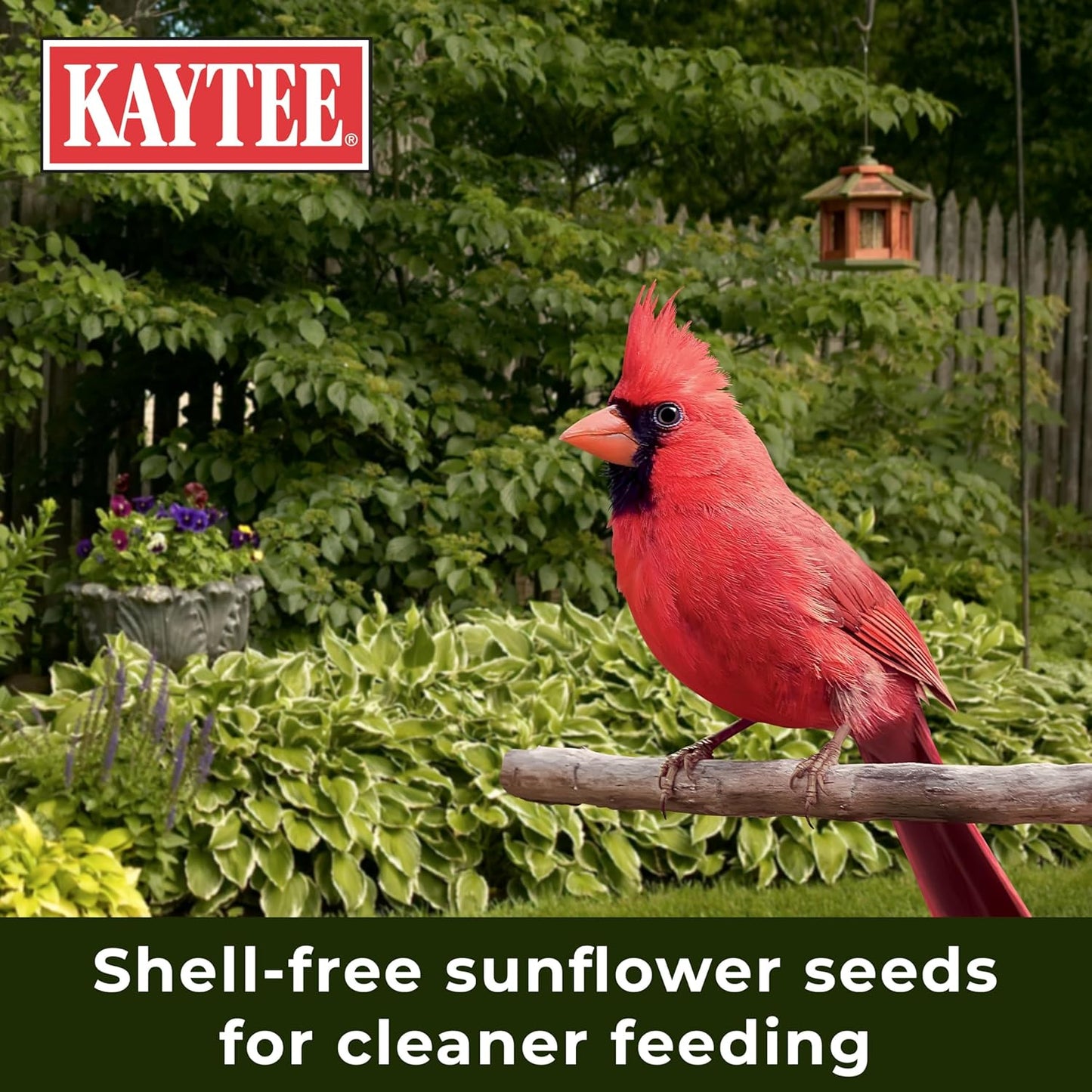 Kaytee Wild Bird Ultra No Mess Nut & Fruit Food Seed Blend For Blue Jays, Woodpeckers, Juncos, Cardinals, Grosbeaks, Sparrows, and Finches, 5.5 Pound - Image 9