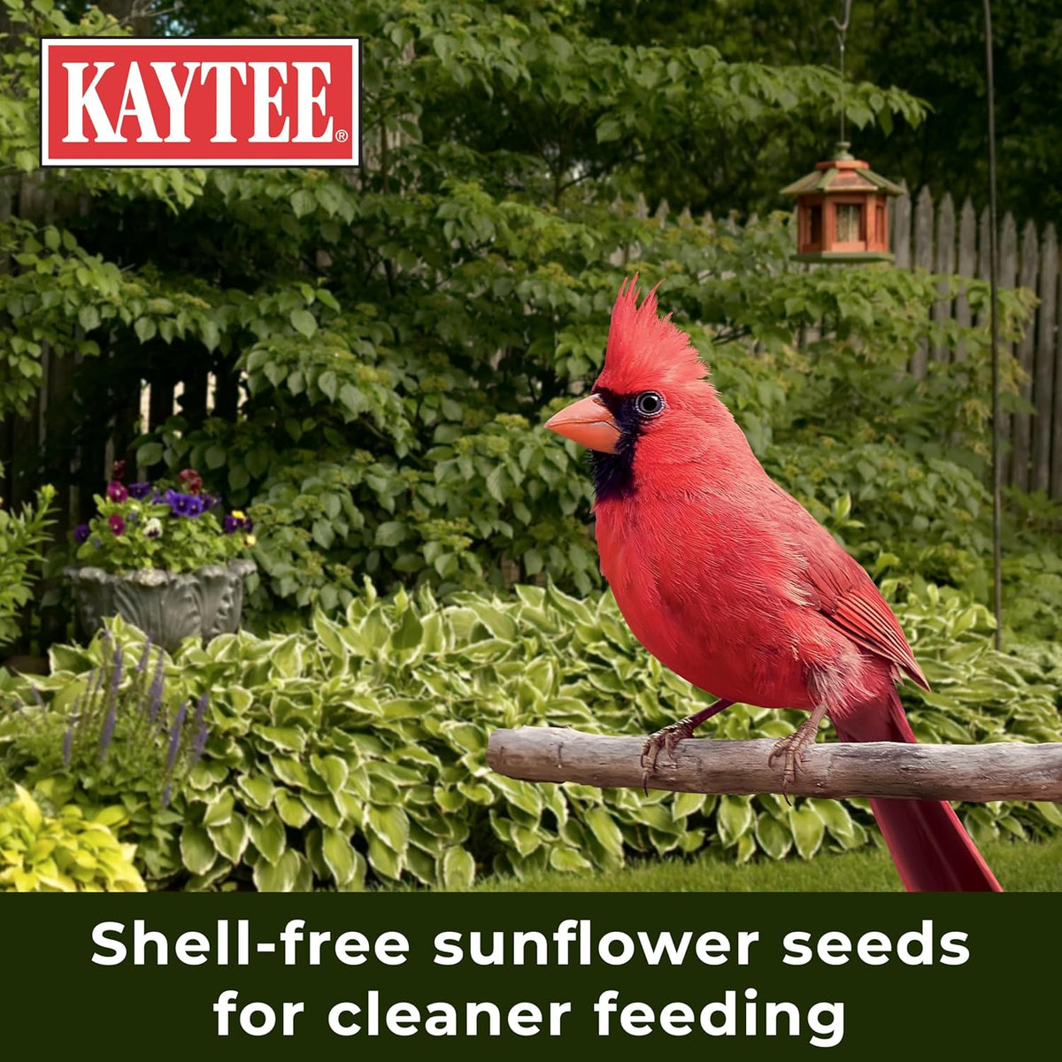 Kaytee Wild Bird Ultra No Mess Nut & Fruit Food Seed Blend For Blue Jays, Woodpeckers, Juncos, Cardinals, Grosbeaks, Sparrows, and Finches, 5.5 Pound - Image 9