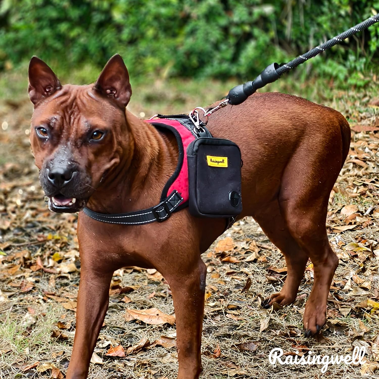 Raisingwell multi-purpose dog training fanny pack with loose kibble treats inside