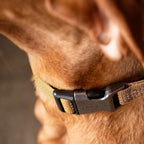 Close up of Carhartt duck canvas weave texture