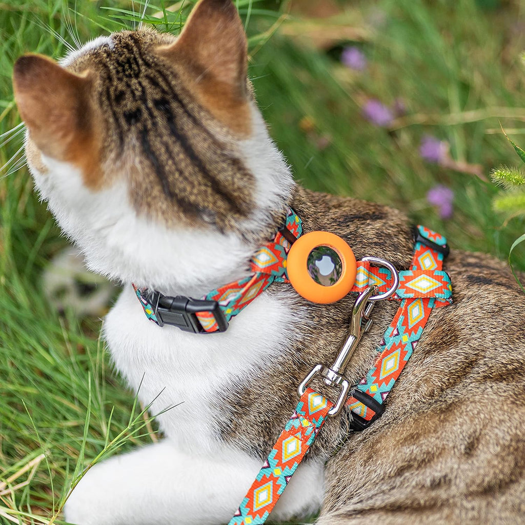 Matching fifty nine inch soft nylon pet leash attached to metal alloy D ring