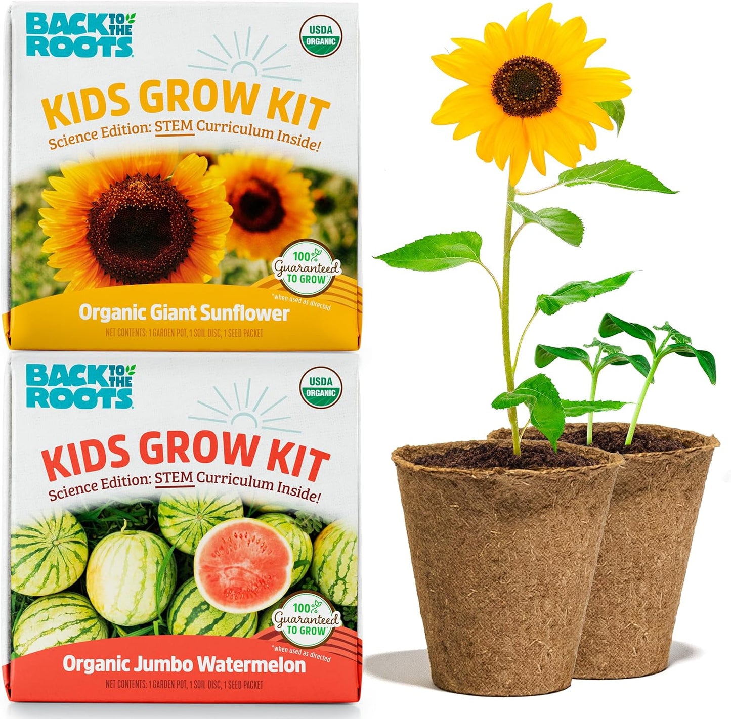 Back to the Roots Kids Science Grow Kit 2 Count packaging front view showing watermelon and sunflower graphics for children's home gardening.