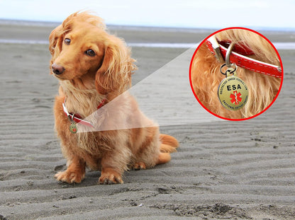 Close up of K9King pet ID tag with durable soft enamel recessed lettering