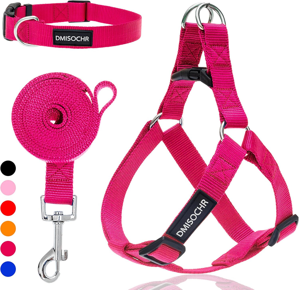 No Pull Dog Harness - Adjustable Step-in Harness & Leash Set for Small, Medium, Large Dogs - Escape Proof Soft Pet Harness for Walking, Training, Hiking, Outdoor Activities - Image 9