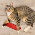 StripHair multi-purpose pet hair remover tool packaging