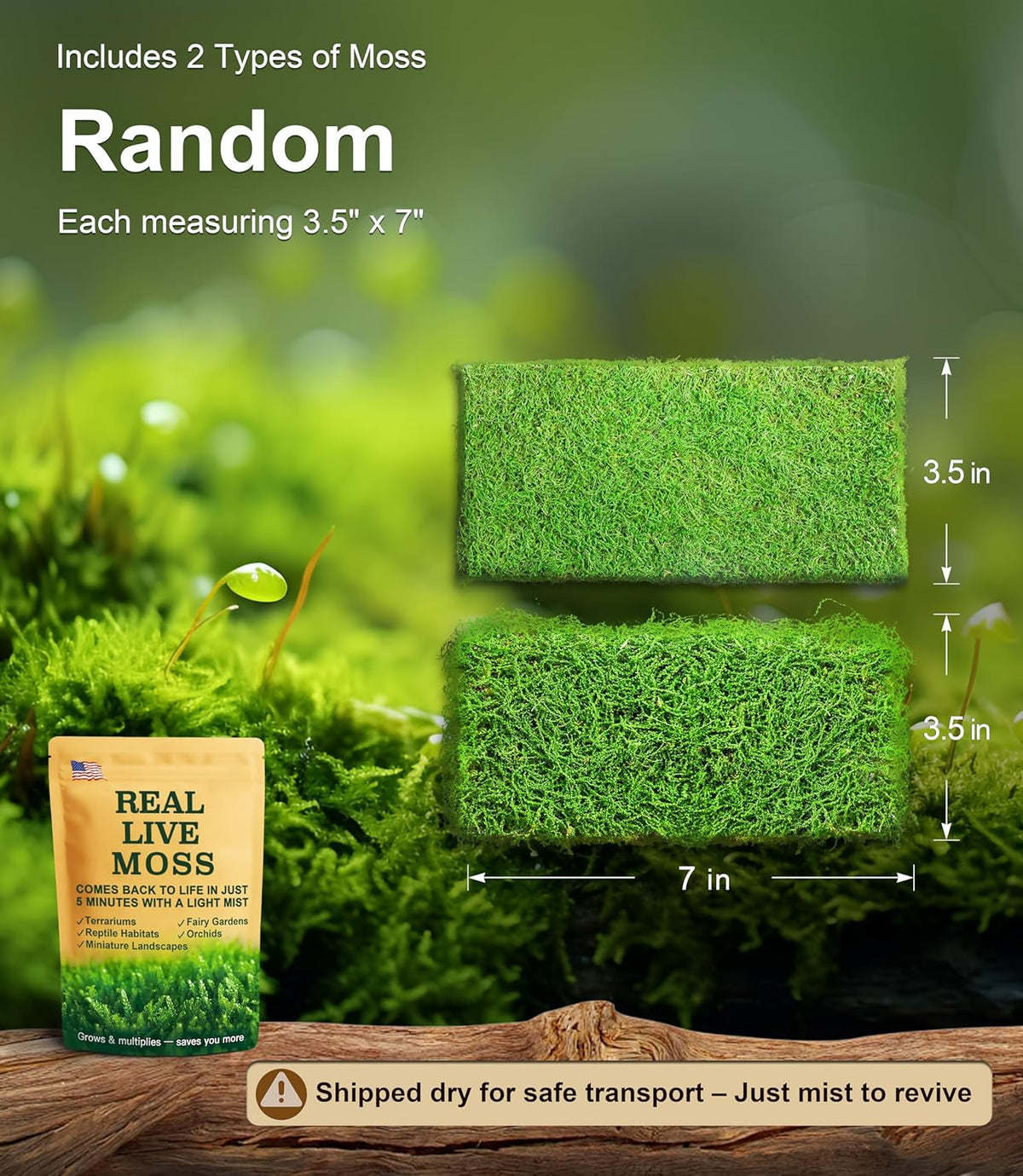 Two types of real live moss for reptile tank substrate