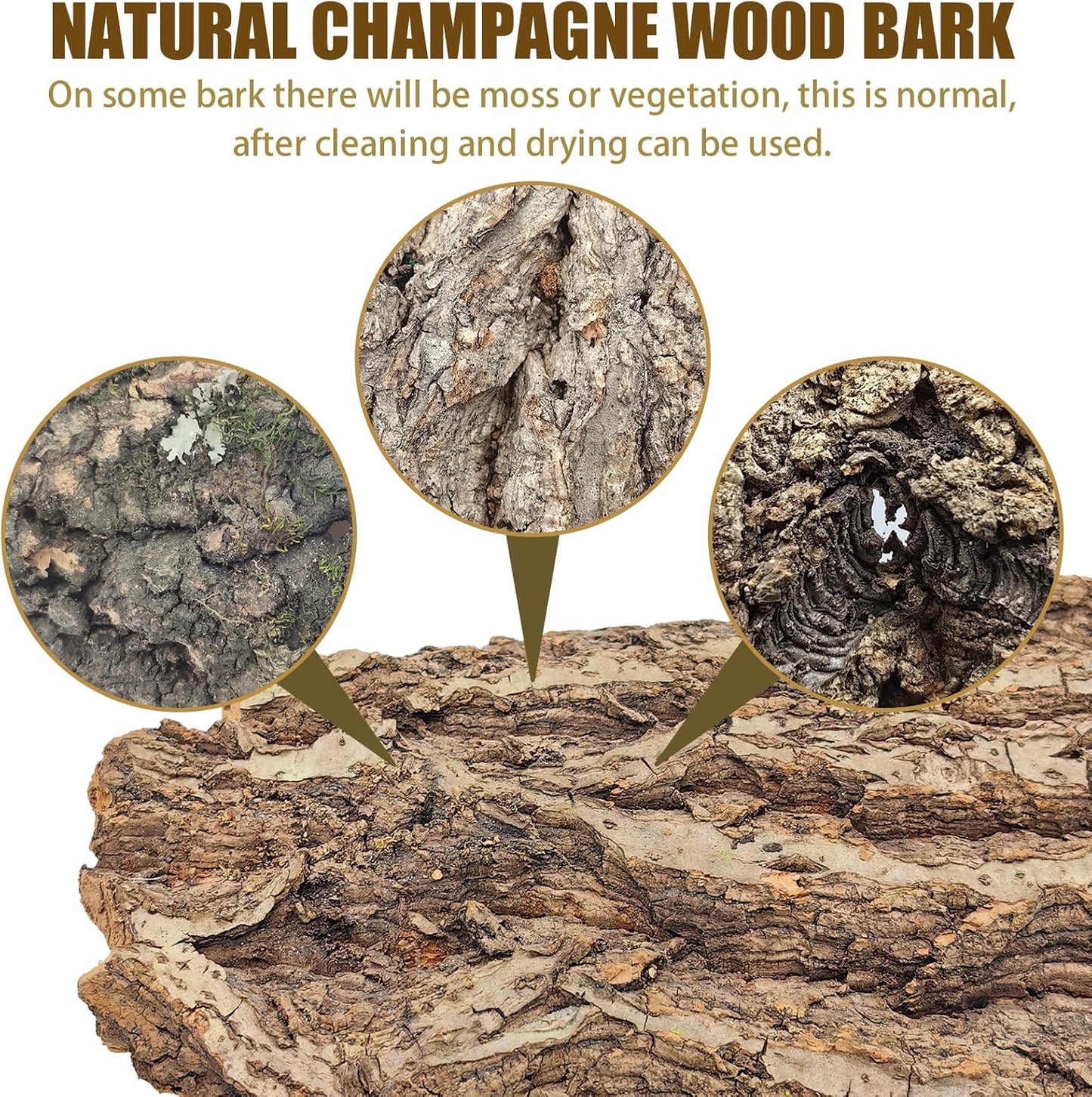 Premium reptile bark bedding layout for snakes and lizards