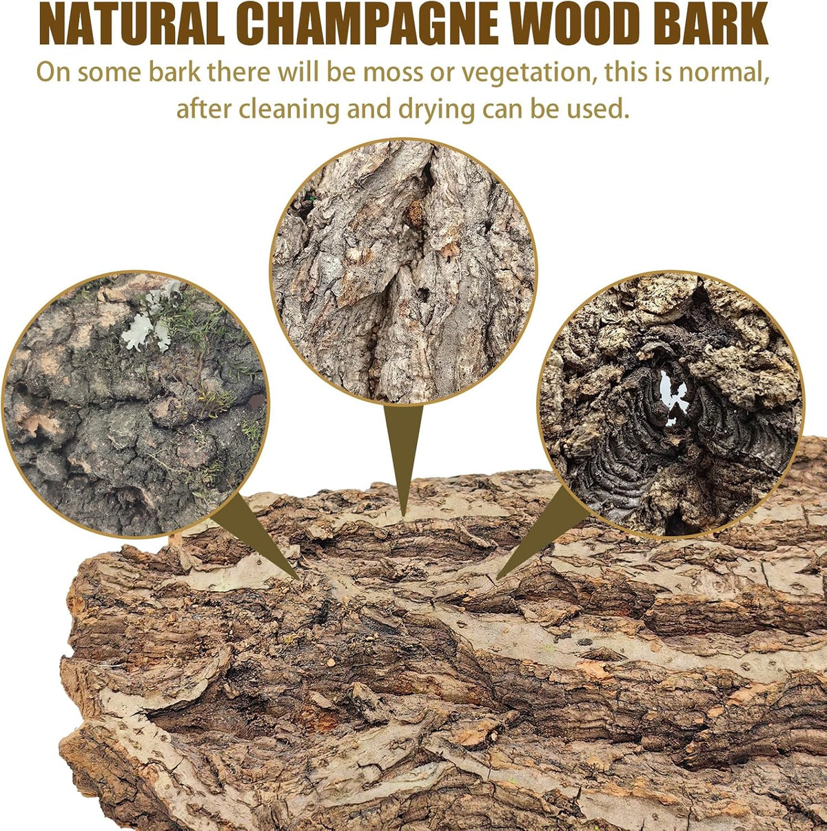 Premium reptile bark bedding layout for snakes and lizards